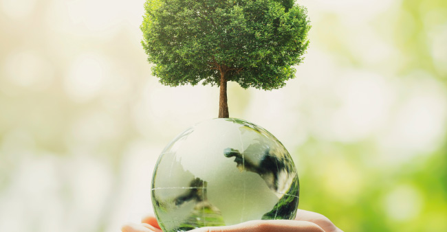 取り組み内容　環境